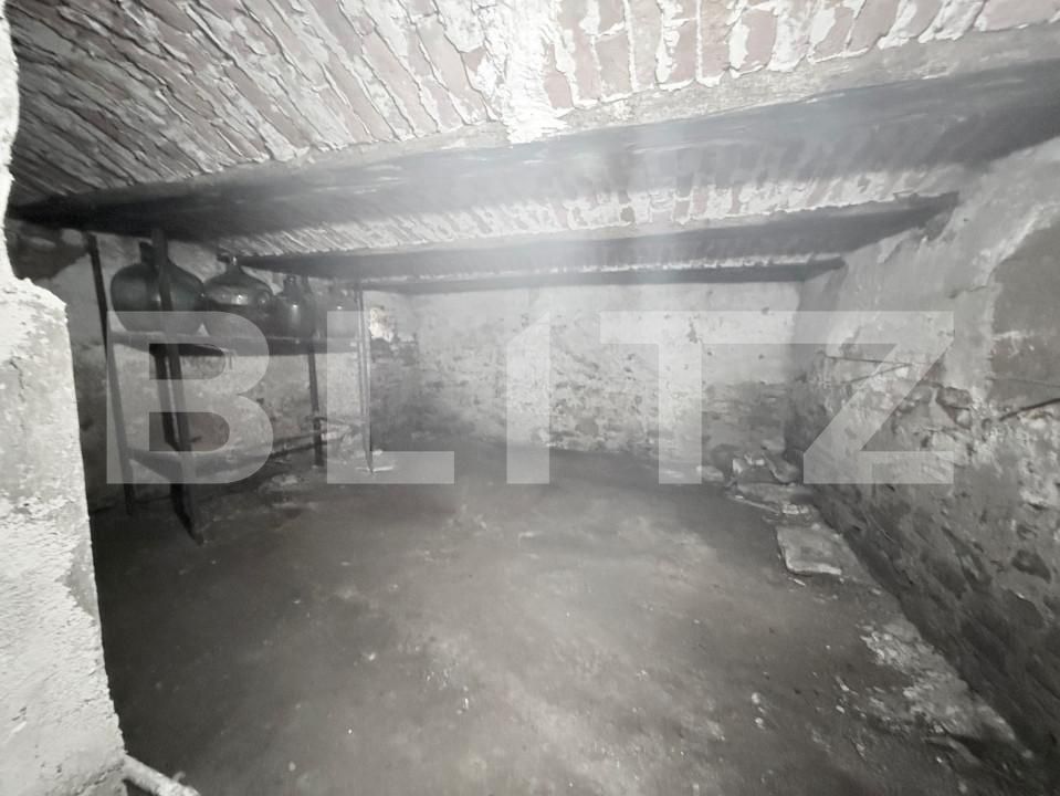 Casa de vânzare 4 camere Exterior Vest - 167329CV | BLITZ Alba Iulia | Poza21