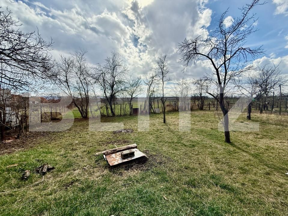 Casa de vânzare 4 camere Exterior Vest - 167329CV | BLITZ Alba Iulia | Poza10