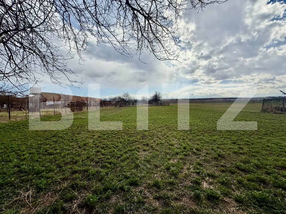 Casa de vânzare 4 camere Exterior Vest - 167329CV | BLITZ Alba Iulia | Poza11