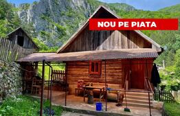 Casa de vacanta,3300 mp teren,Intregalde