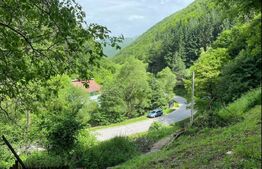 Casa de vacanta,3300 mp teren,Intregalde