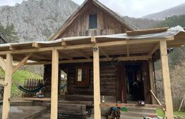 Casa de vacanta,3300 mp teren,Intregalde