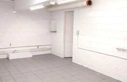 Spațiu Comercial de 110 mp, 2 bai, Pretabil depozit, Cetate