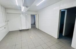 Spațiu Comercial de 110 mp, 2 bai, Pretabil depozit, Cetate