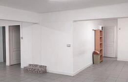 Spațiu Comercial de 110 mp, 2 bai, Pretabil depozit, Cetate