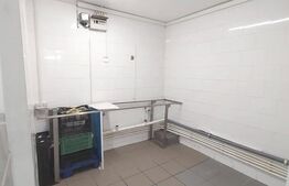 Spațiu Comercial de 110 mp, 2 bai, Pretabil depozit, Cetate