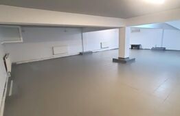 Spațiu Comercial de 110 mp, 2 bai, Pretabil depozit, Cetate