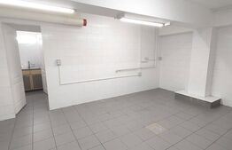 Spațiu Comercial de 110 mp, 2 bai, Pretabil depozit, Cetate