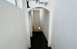 Spațiu Comercial de 110 mp, 2 bai, Pretabil depozit, Cetate