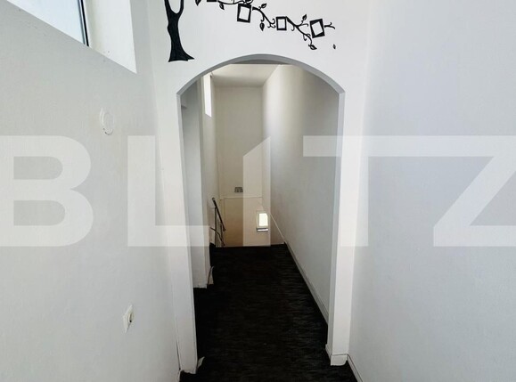 Spațiu comercial de închiriat Cetate - 167393SIC | BLITZ Alba Iulia | Poza1