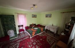 Casa individuala 57mp si anexe, 1000mp teren in Obreja