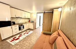 Spatiu comercial de vanzare, 2 incaperi, 42 mp, zona Piata Cetate