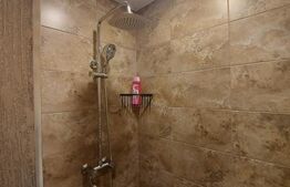 Apartament cu 1 camera, 42 mp, parter, mobilat si utilat, zona Piata Cetate