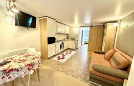 Apartament cu 1 camera, 42 mp, parter, mobilat si utilat, zona Piata Cetate