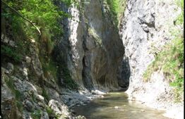 Casa de vacanta,110 mp utili,1000 mp teren,Rimet