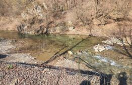 Casa de vacanta,110 mp utili,1000 mp teren,Rimet