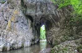 Casa de vacanta,110 mp utili,1000 mp teren,Rimet