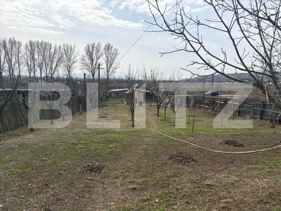 Teren de vânzare Cetate - 167858TV | BLITZ Alba Iulia | Poza2