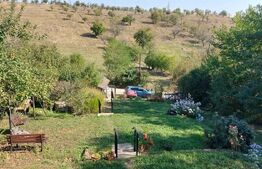 Casa deosebita cu 5 dormitoare, 115 mp, teren 2300 mp, zona Schit