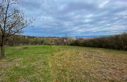 Casa deosebita cu 5 dormitoare, 115 mp, teren 2300 mp, zona Schit