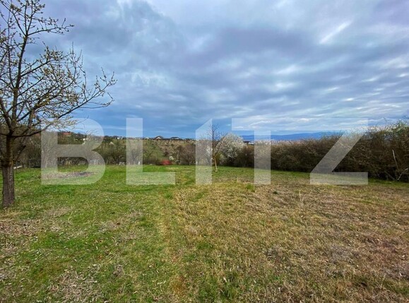 Casa de vânzare 5 camere Micești - 167864CV | BLITZ Alba Iulia | Poza11