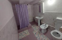 Casa individuala cu 3 camere, 217 mp utili,2000 mp teren,Intregalde