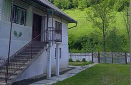 Casa individuala cu 3 camere, 217 mp utili,2000 mp teren,Intregalde