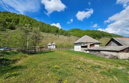 Casa individuala cu 3 camere, 150 mp utili, 2000 mp teren, Ghioncani