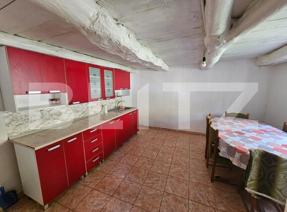 Casa de vânzare 5 camere Ghioncani - 167914CV | BLITZ Alba Iulia | Poza11