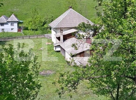 Casa de vânzare 3 camere Intregalde - 167914CV | BLITZ Alba Iulia | Poza1