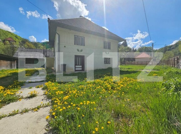 Casa de vânzare 5 camere Ghioncani - 167914CV | BLITZ Alba Iulia | Poza3