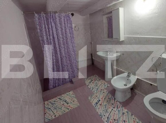 Casa de vânzare 3 camere Intregalde - 167914CV | BLITZ Alba Iulia | Poza9