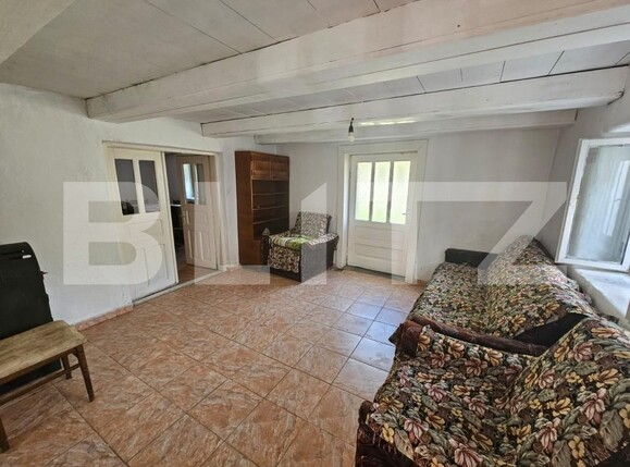 Casa de vânzare 5 camere Ghioncani - 167914CV | BLITZ Alba Iulia | Poza10