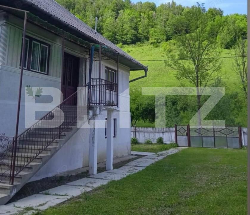 Casa de vânzare 3 camere Intregalde - 167914CV | BLITZ Alba Iulia | Poza4