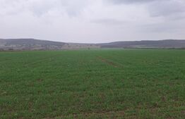 Teren extravilan agricol, 4200 mp, zona Cugir