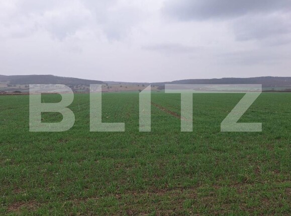 Teren de vânzare Cugir - 168008TV | BLITZ Alba Iulia | Poza1