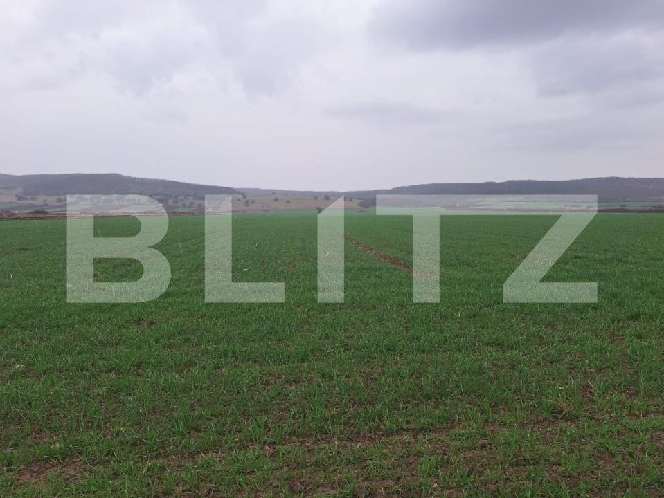 Teren de vânzare Cugir - 168008TV | BLITZ Alba Iulia | Poza1