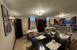 Pensiune perfectă pentru multiple tipuri de activități,  zona Cetate