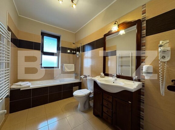 Spațiu comercial de închiriat Cetate - 168050SIC | BLITZ Alba Iulia | Poza17
