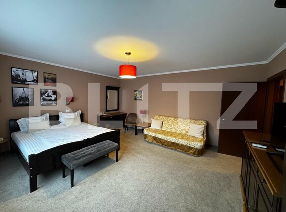 Spațiu comercial de închiriat Cetate - 168050SIC | BLITZ Alba Iulia | Poza5