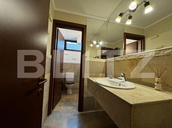 Spațiu comercial de închiriat Cetate - 168050SIC | BLITZ Alba Iulia | Poza9