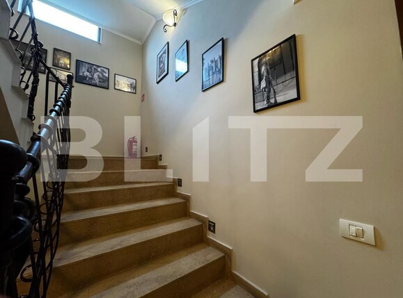 Spațiu comercial de închiriat Cetate - 168050SIC | BLITZ Alba Iulia | Poza12