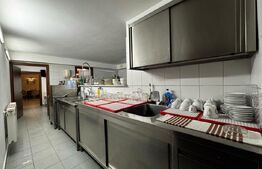 Pensiune frumoasă, Afacere la cheie,  zona Cetate Alba Iulia