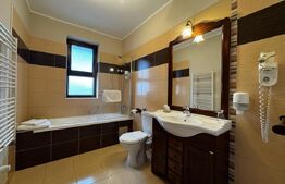 Pensiune frumoasă, Afacere la cheie,  zona Cetate Alba Iulia