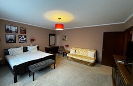 Pensiune frumoasă, Afacere la cheie,  zona Cetate Alba Iulia