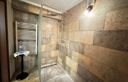 Pensiune frumoasă, Afacere la cheie,  zona Cetate Alba Iulia