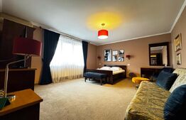 Pensiune frumoasă, Afacere la cheie,  zona Cetate Alba Iulia