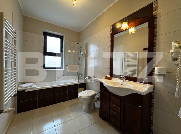 Spațiu comercial de vânzare Cetate - 168051SVC | BLITZ Alba Iulia | Poza15