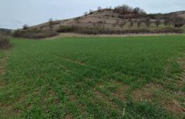 Teren extravilan, 1.200 mp, zona Parau lui Mihai