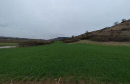 Teren extravilan, 1.200 mp, zona Parau lui Mihai